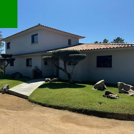 Villa - Porto-vecchio - Piscine Privée Porto Vecchio