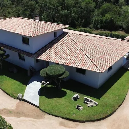 - Porto-vecchio - Piscine Privée Porto Vecchio